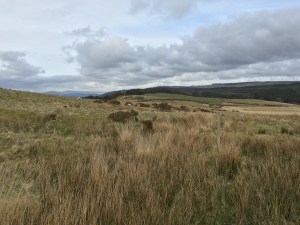 photo-08-04-16-16-00-24