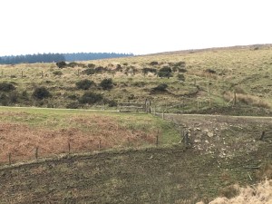 photo-27-02-16-14-34-54