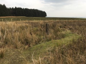 photo-27-02-16-15-02-14