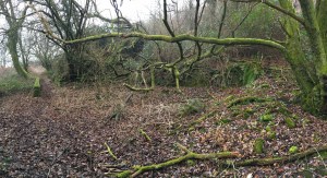 photo-30-12-2016-12-51-19