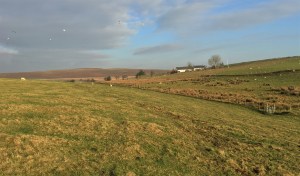 photo-20-12-2016-10-34-10