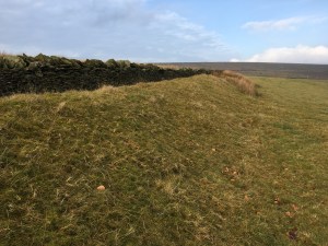 photo-20-12-2016-12-23-34