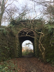 photo-20-12-2016-13-38-41