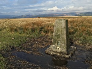 Photo 12-02-16 11 18 20 (1)