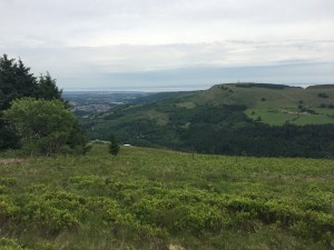 Photo 28-05-17 15 13 19