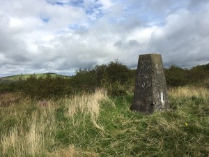 Photo 23-08-17 13 17 26