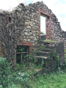 Photo 11-09-16 16 33 09