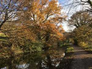 Photo 25-11-2017, 10 19 47