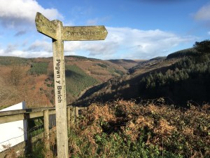 Photo 25-11-2017, 11 05 14