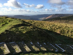 Photo 25-11-2017, 11 17 26