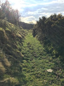 c2ad71ac-258f-4b57-b23b-f30840a2e9c9