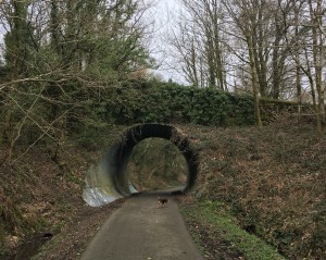 Photo 14-04-2018, 11 04 49 (1)