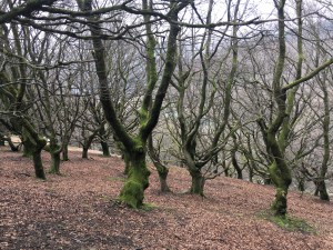 Photo 14-04-2018, 12 42 58