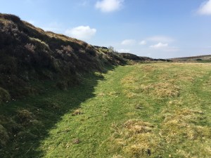 Photo 14-04-2018, 14 53 27