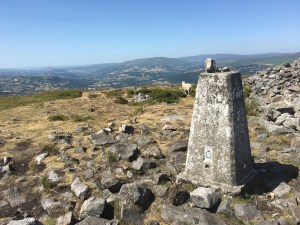 Photo 30-06-2018, 15 02 53