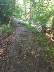 Photo 30-06-2018, 15 51 12