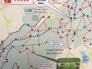 Photo 04-09-2018, 09 59 29