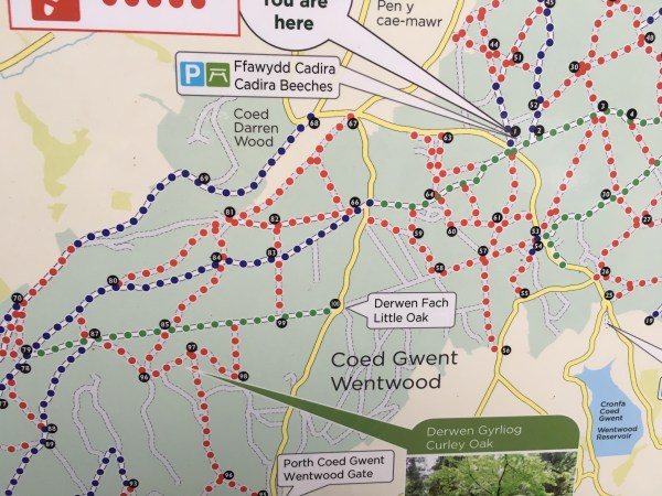 Photo 04-09-2018, 09 59 29