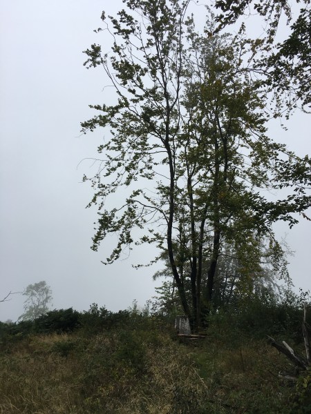 Photo 04-09-2018, 10 18 38