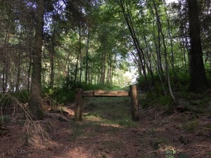 a2884136-9ffc-44de-8a6c-1fb061d881f7