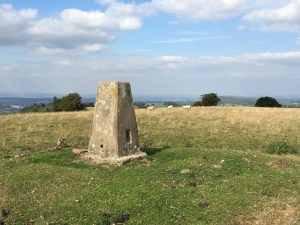 d3e39395-a7ad-46ef-bf2e-1005e34cd3b2